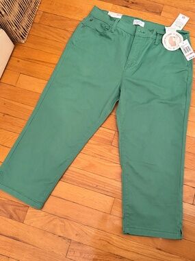 NWT Curve Appeal Green Straight Leg Ankle Pants Size 12 / 31